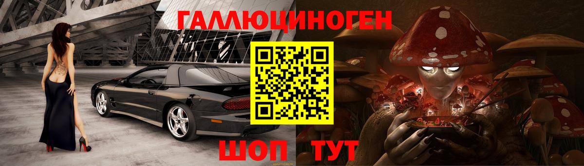 Галлюциногенные грибы Cubensis Тавда